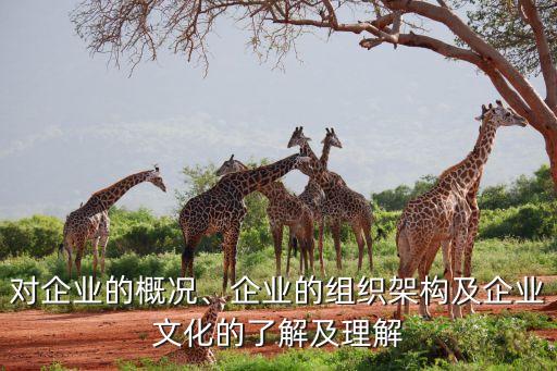 對(duì)企業(yè)的概況、企業(yè)的組織架構(gòu)及企業(yè)文化的了解及理解