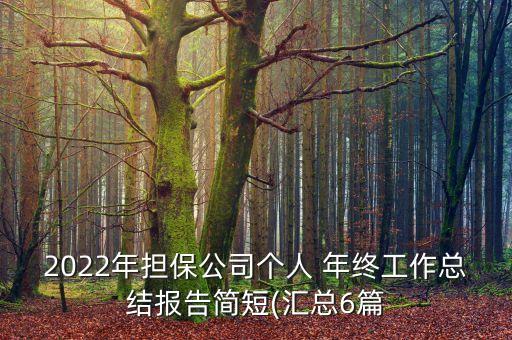 2022年擔保公司個人 年終工作總結報告簡短(匯總6篇