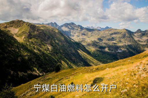  寧煤白油燃料怎么開(kāi)戶