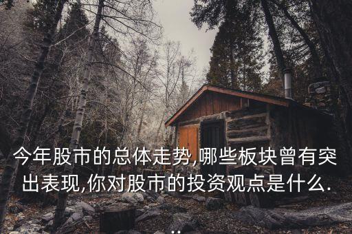 今年股市的總體走勢,哪些板塊曾有突出表現(xiàn),你對股市的投資觀點(diǎn)是什么...