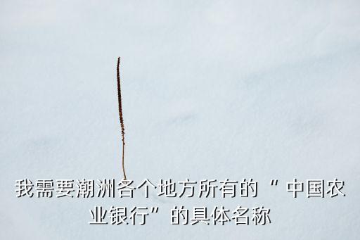 中國農業(yè)銀行百色新廣支行