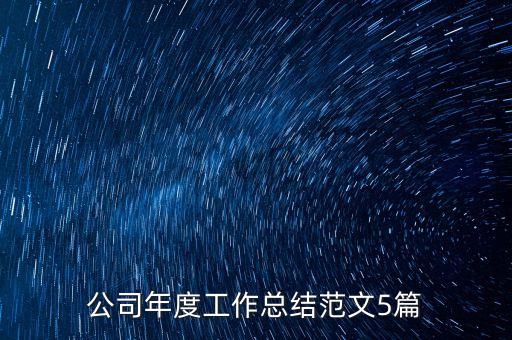 公司年度工作總結范文5篇
