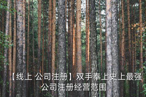 【線(xiàn)上 公司注冊(cè)】雙手奉上史上最強(qiáng) 公司注冊(cè)經(jīng)營(yíng)范圍