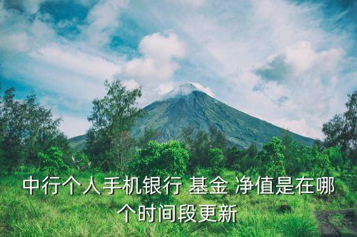 中行個人手機(jī)銀行 基金 凈值是在哪個時間段更新