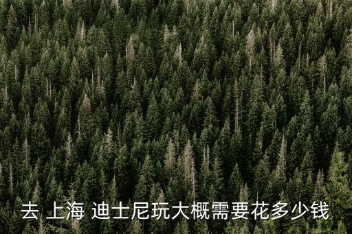 去 上海 迪士尼玩大概需要花多少錢(qián)