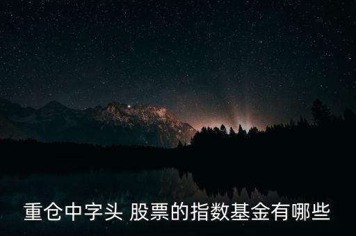 重倉中字頭 股票的指數基金有哪些