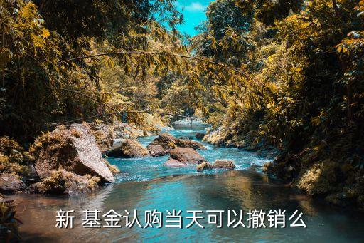 新 基金認(rèn)購(gòu)當(dāng)天可以撤銷么