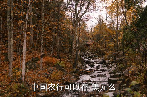 中國農行可以存 美元么