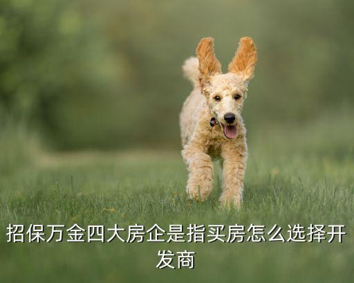 招保萬(wàn)金四大房企是指買房怎么選擇開發(fā)商