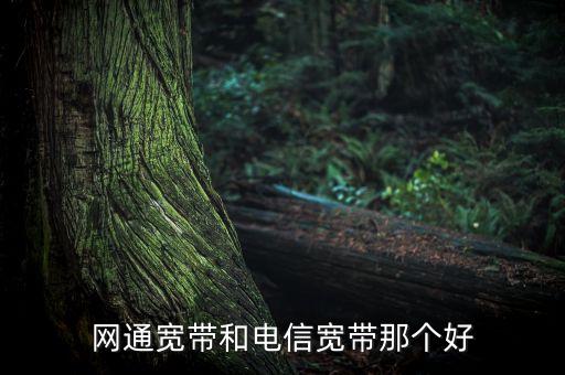 中國(guó)互聯(lián)網(wǎng)500強(qiáng)