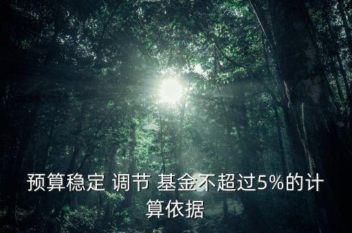 調(diào)節(jié)基金,預備費,預算周轉(zhuǎn)金,預算穩(wěn)定調(diào)節(jié)基金