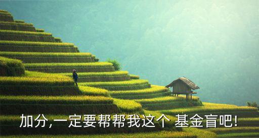 大城價(jià)值增長基金凈值,大成價(jià)值090001基金