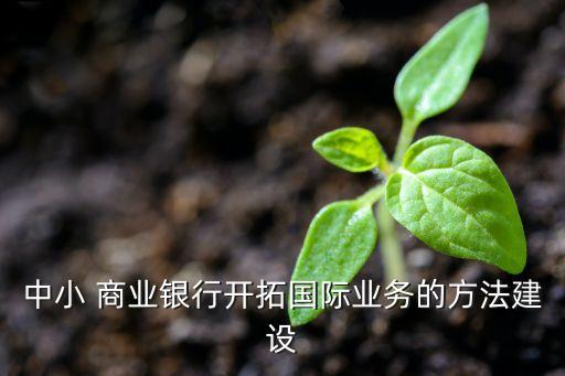中小 商業(yè)銀行開(kāi)拓國(guó)際業(yè)務(wù)的方法建設(shè)