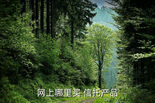 網(wǎng)上哪里買 信托產品
