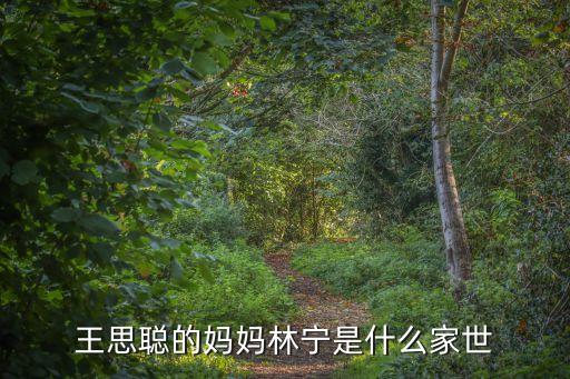 王思聰的媽媽林寧是什么家世
