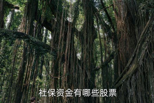 全國(guó)社?；鸾M合