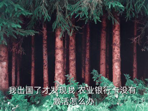 我出國了才發(fā)現(xiàn)我 農業(yè)銀行卡沒有 激活怎么辦