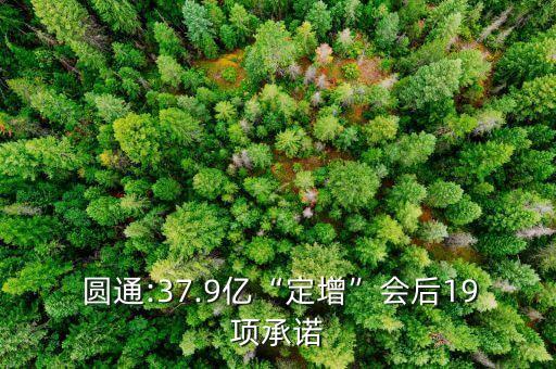  圓通:37.9億“定增”會后19項(xiàng)承諾