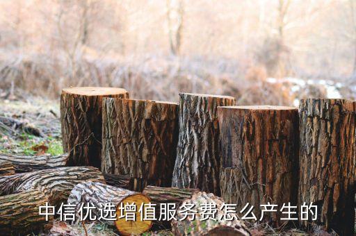 中信優(yōu)選增值服務費怎么產生的