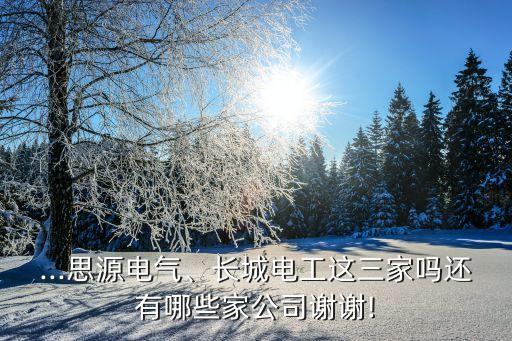 ...思源電氣、長城電工這三家嗎還有哪些家公司謝謝!