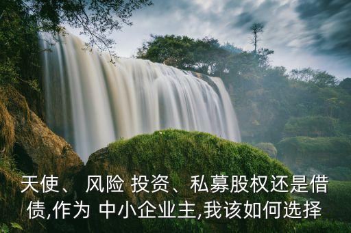 天使、 風險 投資、私募股權(quán)還是借債,作為 中小企業(yè)主,我該如何選擇