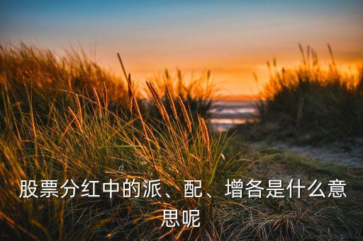  股票分紅中的派、配、增各是什么意思呢