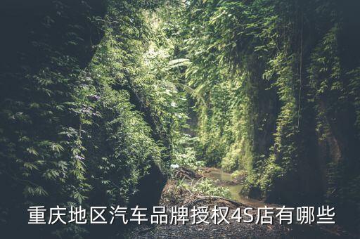  重慶地區(qū)汽車品牌授權4S店有哪些