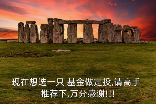 現(xiàn)在想選一只 基金做定投,請(qǐng)高手 推薦下,萬分感謝!!!