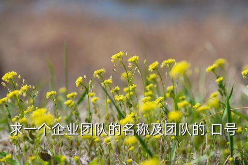 求一個企業(yè)團隊的名稱及團隊的 口號、