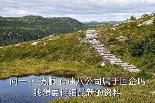 問一下 撫順 石油八公司屬于國(guó)企嗎我想要詳細(xì)最新的資料