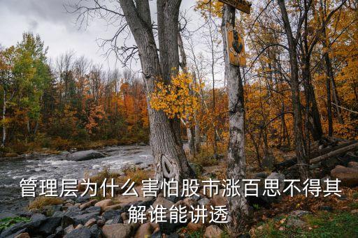 股票管理中出現的問題