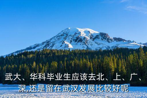 武大、華科畢業(yè)生應(yīng)該去北、上、廣、深,還是留在武漢發(fā)展比較好呢