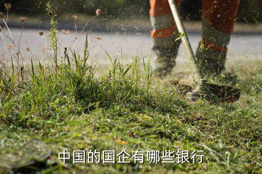 建設銀行算是央行嗎,央行和建設銀行的關系