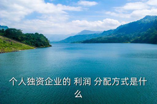 個(gè)人獨(dú)資企業(yè)的 利潤 分配方式是什么