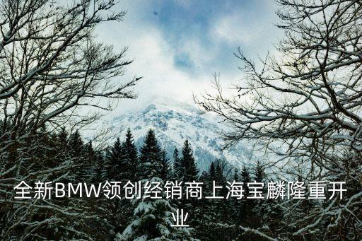 全新BMW領(lǐng)創(chuàng)經(jīng)銷商上海寶麟隆重開(kāi)業(yè)