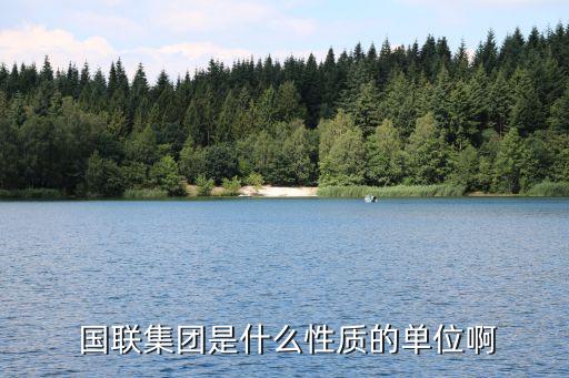  國(guó)聯(lián)集團(tuán)是什么性質(zhì)的單位啊