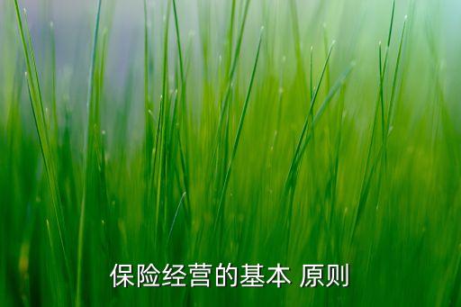 保險經營的基本 原則