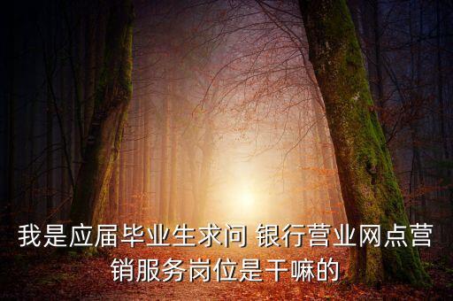 我是應(yīng)屆畢業(yè)生求問 銀行營業(yè)網(wǎng)點營銷服務(wù)崗位是干嘛的