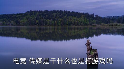 電競(jìng)傳媒股票,中國(guó)傳媒電競(jìng)專(zhuān)業(yè)需要多少分