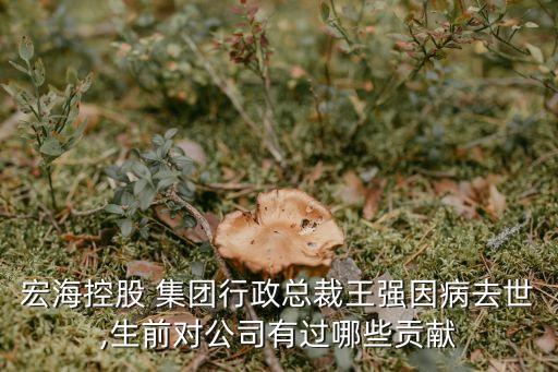 宏?？毓?集團行政總裁王強因病去世,生前對公司有過哪些貢獻