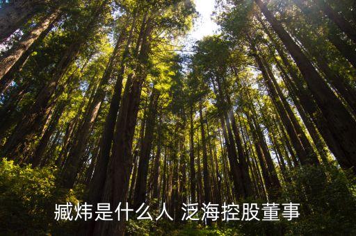 臧煒是什么人 泛?？毓啥? class=
