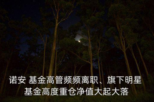 諾安 基金高管頻頻離職、旗下明星 基金高度重倉凈值大起大落