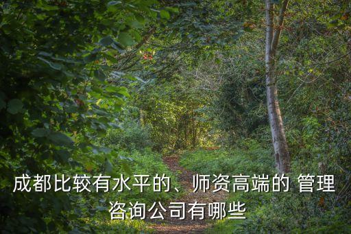 成都比較有水平的、師資高端的 管理 咨詢公司有哪些