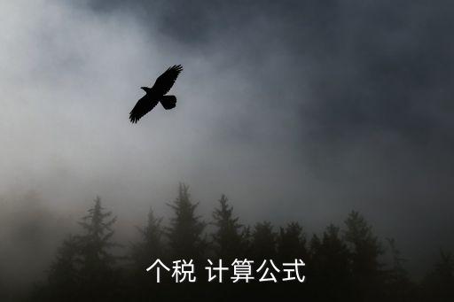 中國個人所得稅計(jì)算方法,個人所得稅是如何計(jì)算的