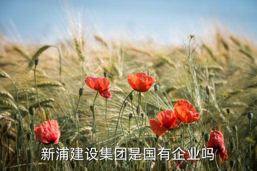 新浦建設(shè)集團(tuán)是國有企業(yè)嗎