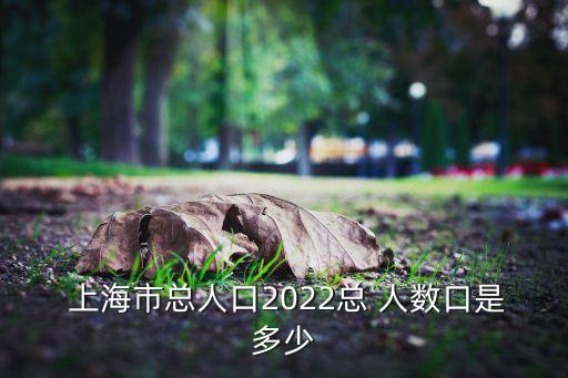  上海市總人口2022總 人數(shù)口是多少