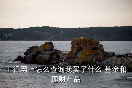 工行網(wǎng)上怎么查詢(xún)我買(mǎi)了什么 基金和理財(cái)產(chǎn)品