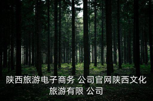 陜西旅游電子商務 公司官網(wǎng)陜西文化旅游有限 公司