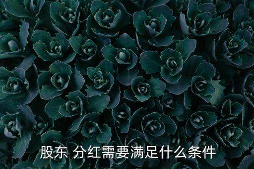  股東 分紅需要滿(mǎn)足什么條件