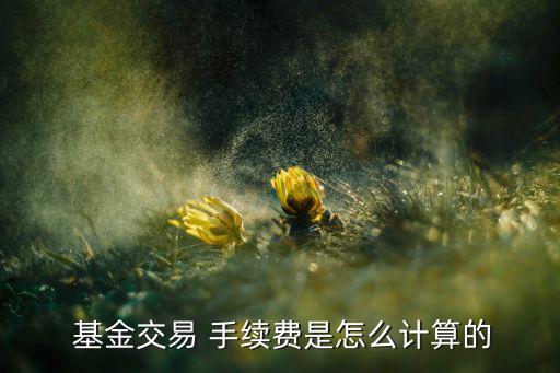  基金交易 手續(xù)費(fèi)是怎么計算的